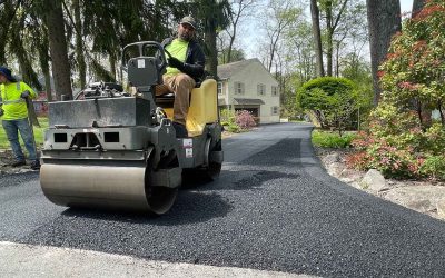 Avoiding Alligator Cracks: How to Protect Your Asphalt