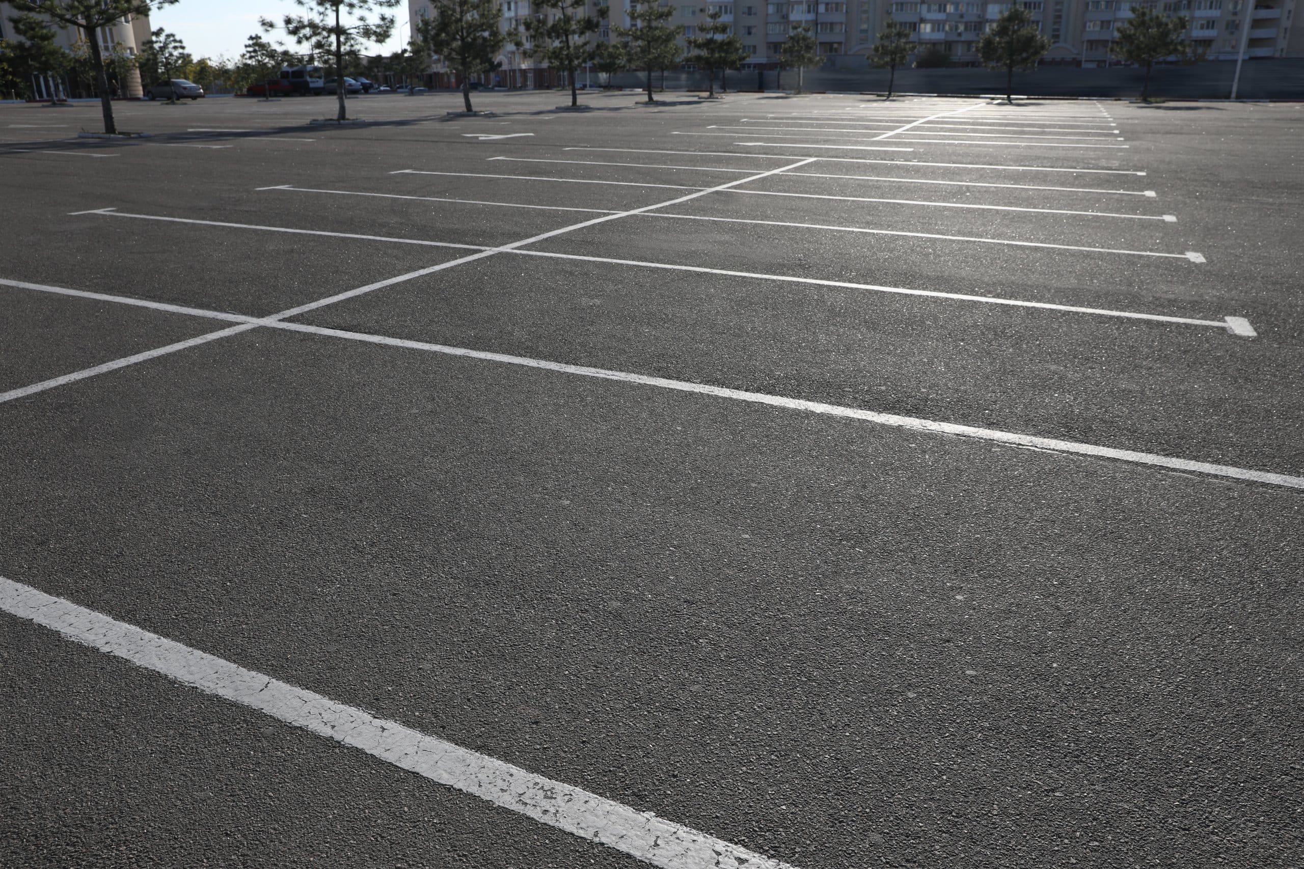 Car parking lot with white marking outdoors Parking Lot Paving and Striping An empty parking lot with white lines, set against a background of trees and buildings.