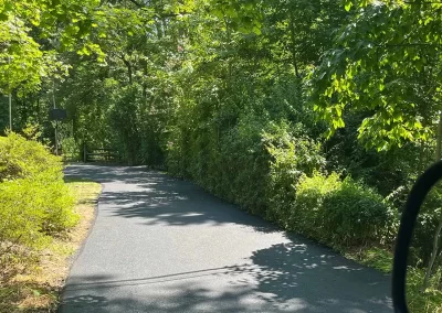 A paved road curves through lush green trees and bushes in bright sunlight.